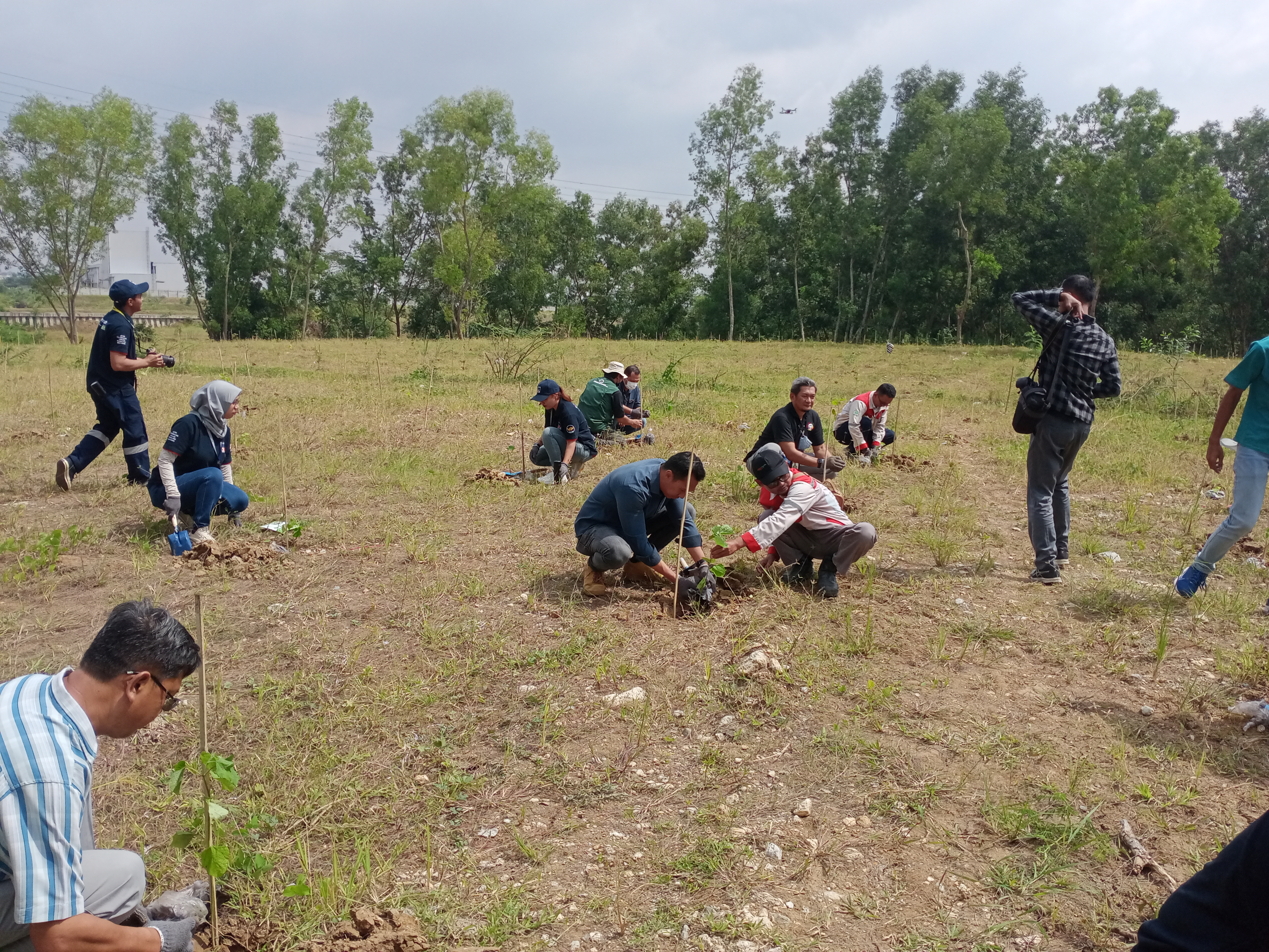 Penanaman pohon disekitar bantaran kali cipamingkis